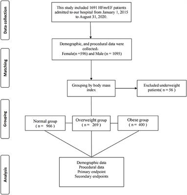 Obesity increases cardiovascular mortality in patients with HFmrEF